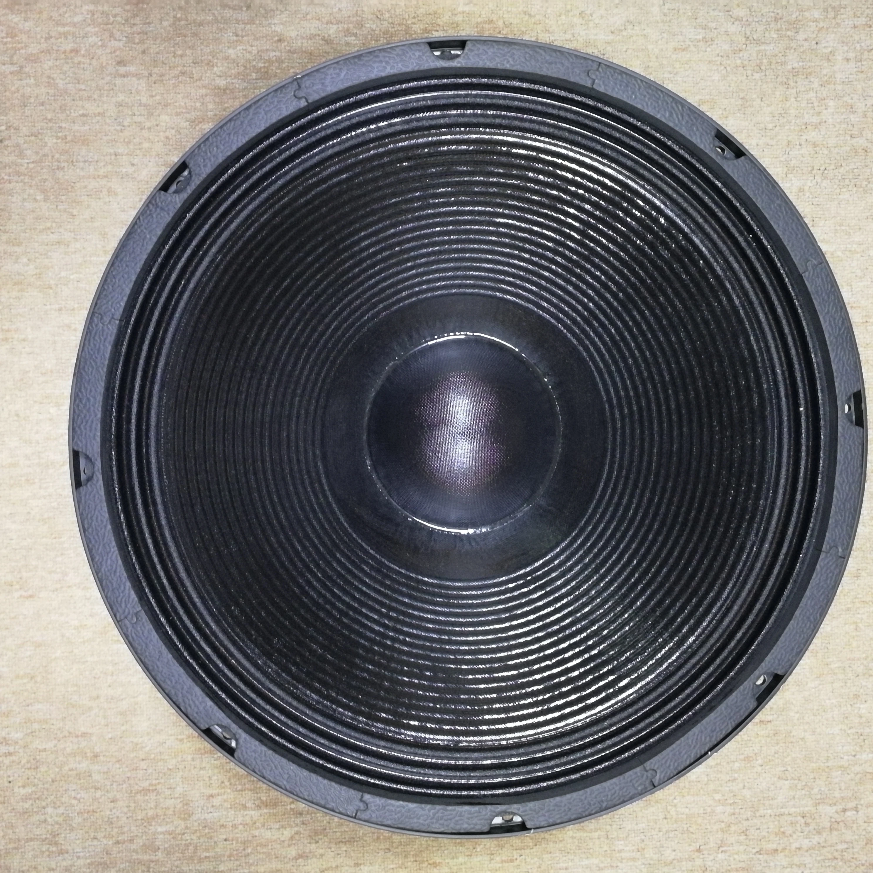 

18 Inch 18TBX100 1600W 100mm Voice Coil High Quality Speaker