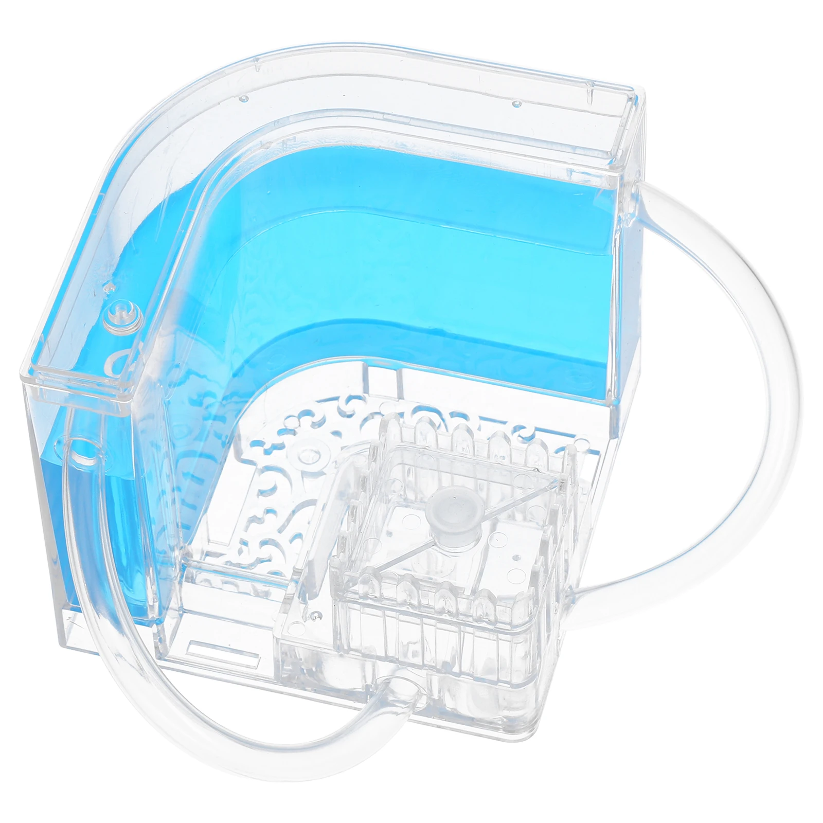 

Ant Nest Castle for Kids Adults Observation Educational Gel Habitat Terrarium Ants Queen Insect Science Learning