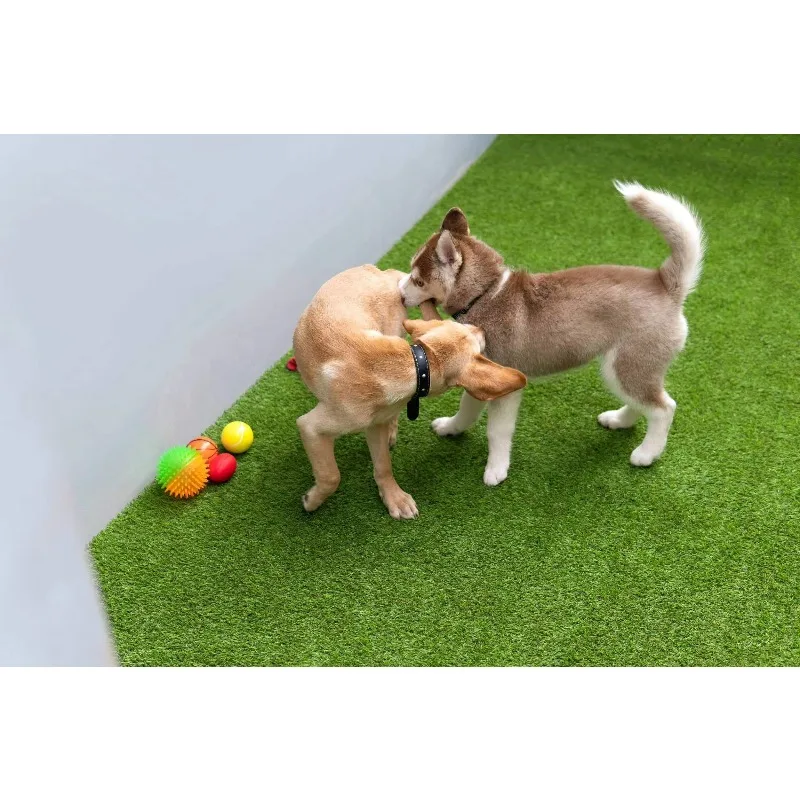 

Garden Dog Cat Synthetic Grass Carpet Artificial Lawn for Pet with Drainage Holes