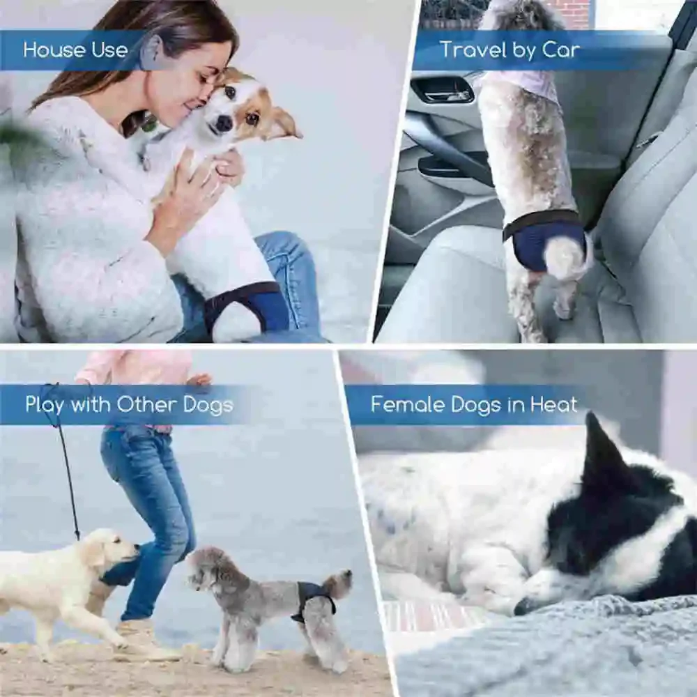 Bild 5: Wiederverwendbare, waschbare Hundewindeln, weibliche Wärmezeitraumhose, auslaufsichere Hygiene- Kecks-Höschen mit 3-polstern für kleine und große Hunde