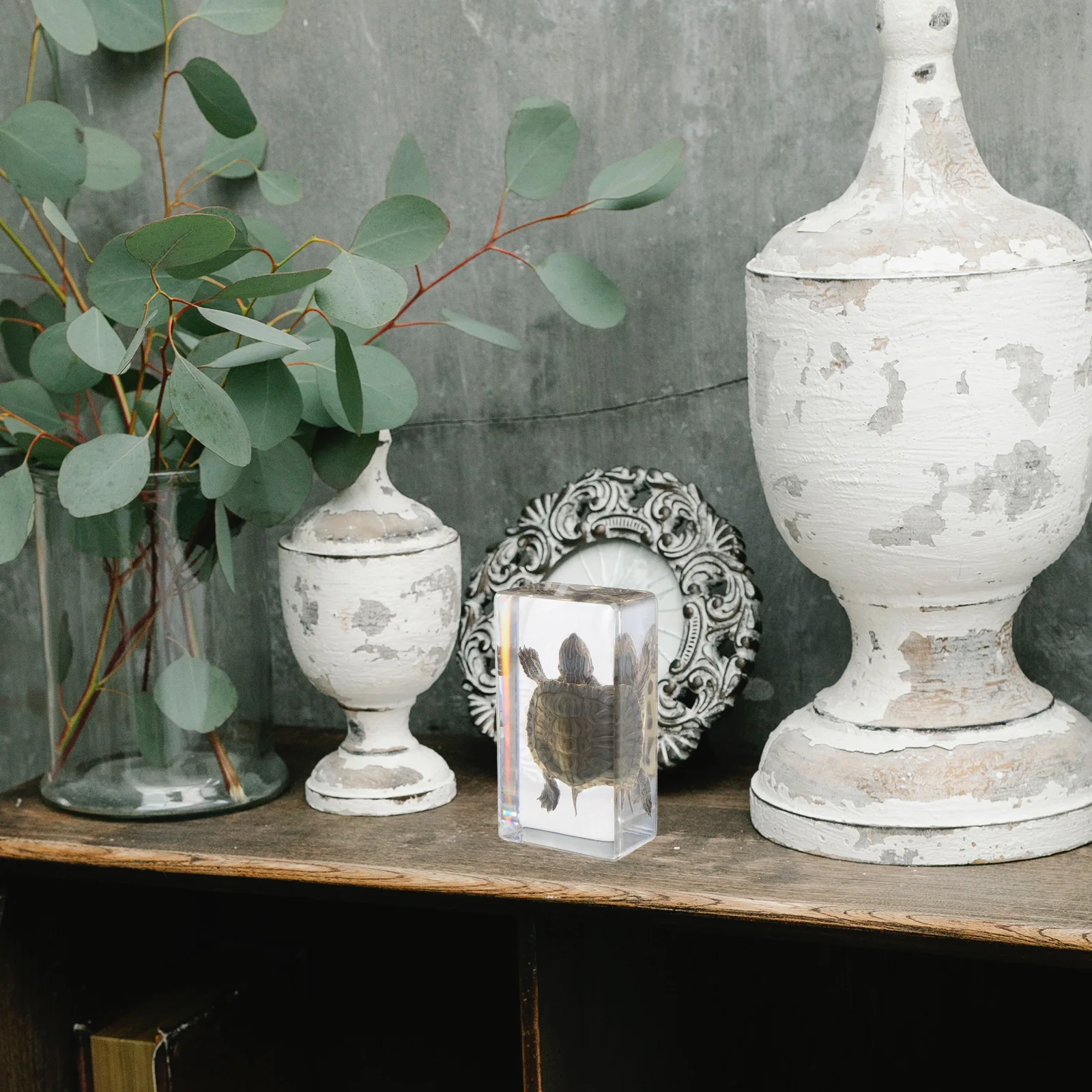 

Realistic Turtle Specimen Lifelike Detailed Resin Sculpture for Scientific Education Home Decor Garden Ornament