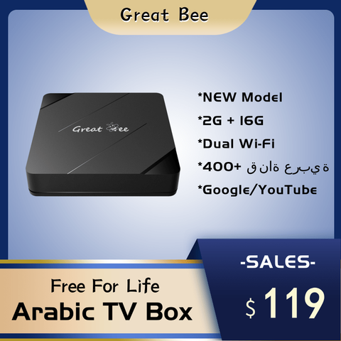 Great Bee Arabic TV Box, Greatbee Android 10 2G 16G Smart 4K Arabic Media Player Arab Satellite Receiver