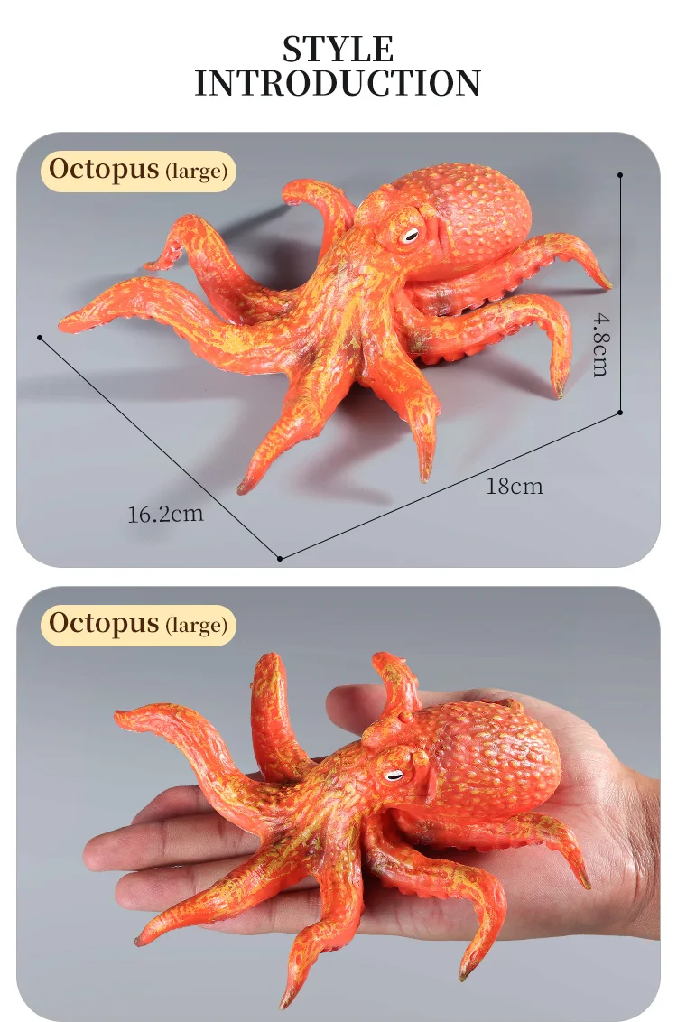 Pädagogische Marine Molluscs ModelToys – Simulation Tintenfisch Oktopus Wachstumszyklus Actionfigur für Kinder Sealife Animal Collection – Detail 3