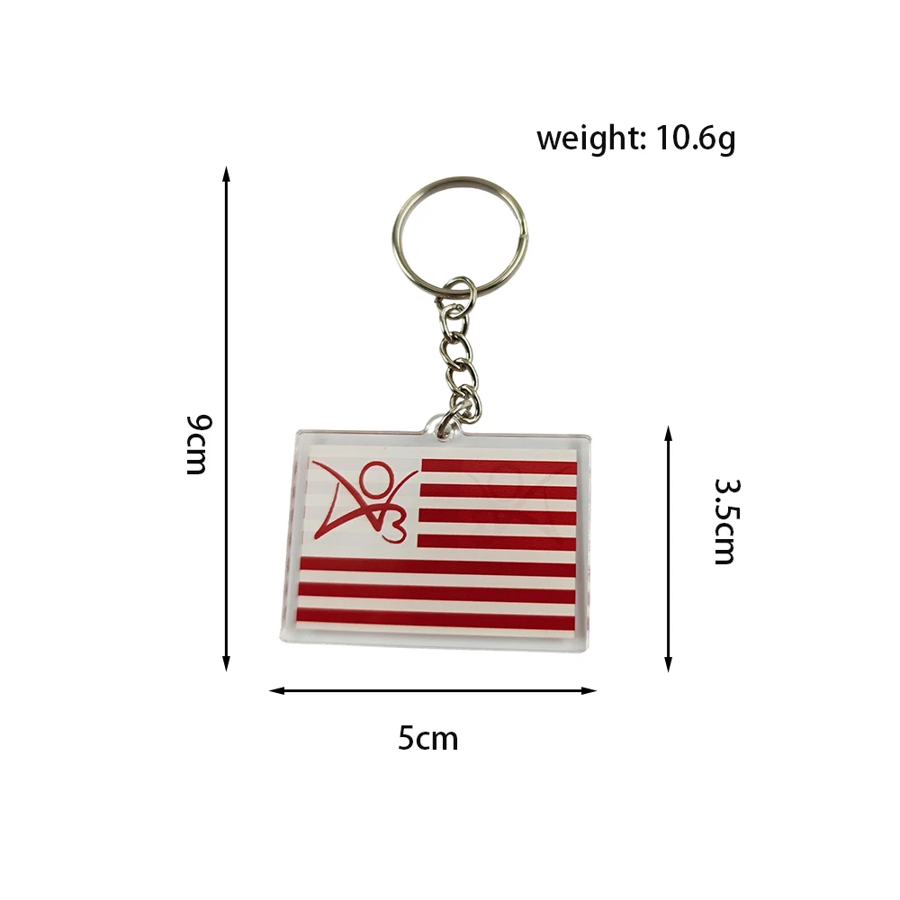 AO3-Geschichte Schlüsselanhänger Fanfiction Fandom Acryl-Schlüsselring „Wenn ich stirbe, lösche ich meine AO3-Geschichte“ Kudos Bandage Charm Geschenk