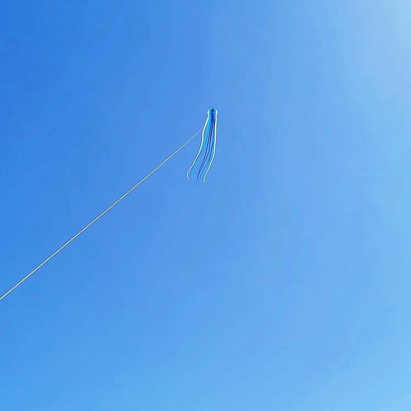 Cerf-volant poulpe 23m pour adultes, cerf-volant professionnel, cerf-volant à puissance douce