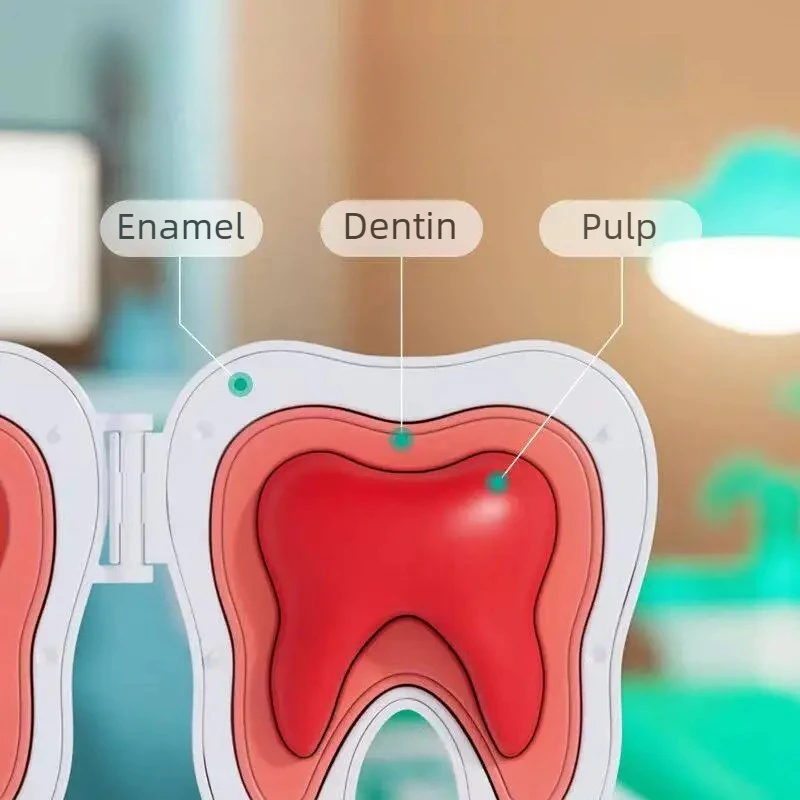 Set da Dentista per Bambini, Giocattoli per Giocare al Dottore, Kit Educativo per la Cura Dentale, Regalo per Ragazzi e Ragazze