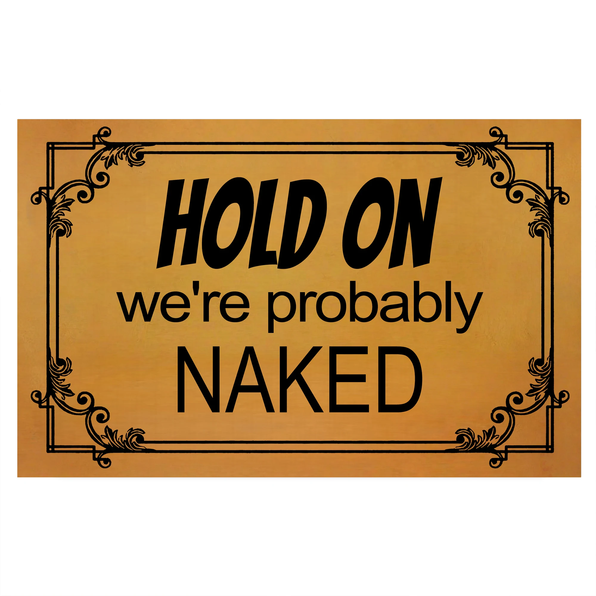 Hold On We're Probably Naked Doormat Outdoor Anti-Slip Rubber for Entryway Indoor Front Porch Decor Rug Welcome Funny Door Mat
