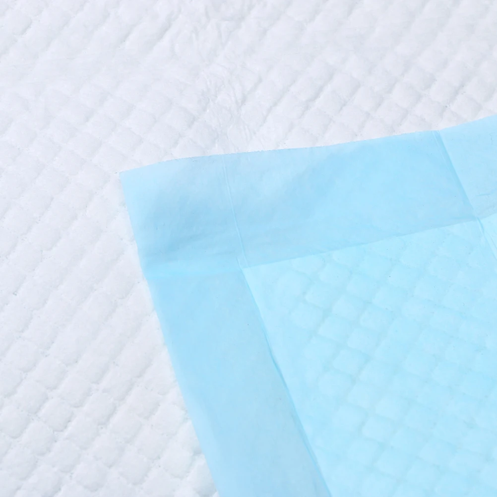 

30 Pcs Pet Pee Mat Adult Dog Pads for Pets Dogs Adults Aldult Small Disposable Training