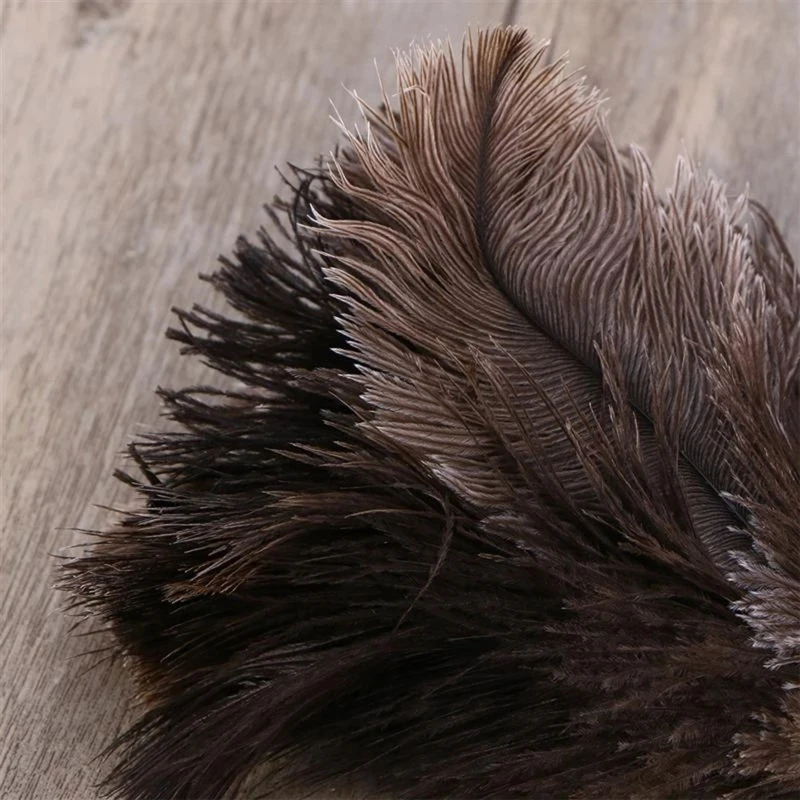 Straußenstaubfeder-Reinigungsbürste mit langem Computer-Staubentfernung