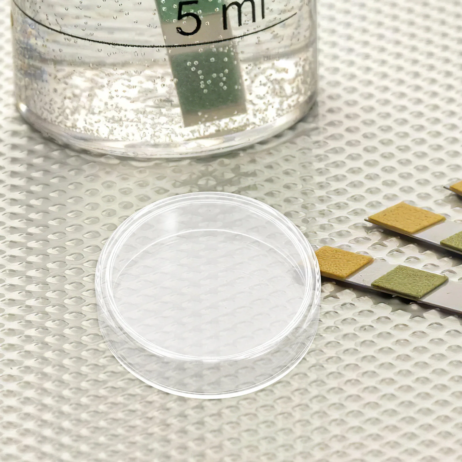 

10Pcs 90mm Optical Culture Dishes for Lab Experiments Microbiological Studies Vented Lids Glass Petri Dishes