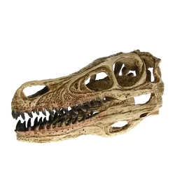 MGT-High Precision Teaching Model Dinosaur, Velociraptor Fossil, Resin Skull, Statue Skeleton