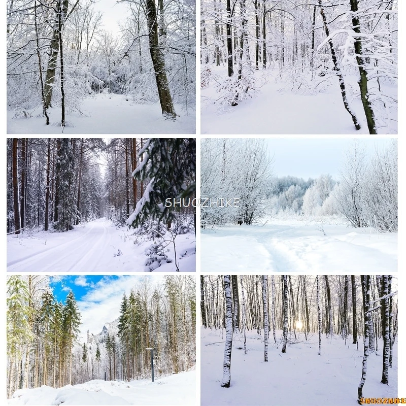 قطرات خلفية للتصوير الفوتوغرافي للغابات الشتوية ، طريق مغطى بالثلوج ، ندف الثلج ، أشجار التنوب ، خلفية الصورة ،