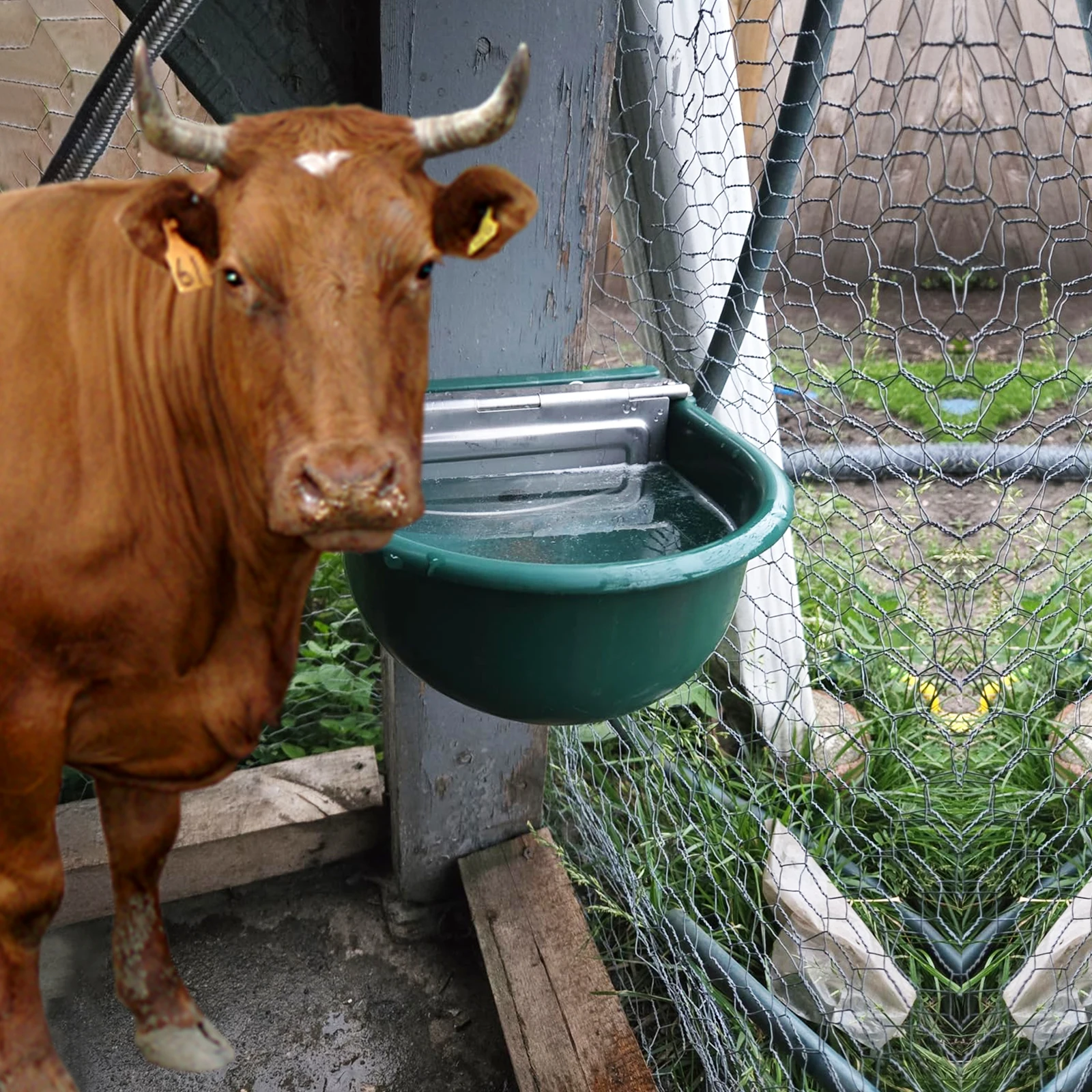 304 الفولاذ المقاوم للصدأ مع ثقب الصرف شارب التلقائي تعويم الزراعة حوض الحصان البقرة وعاء الماء لوازم الأغنام الكلب الماعز الماشية