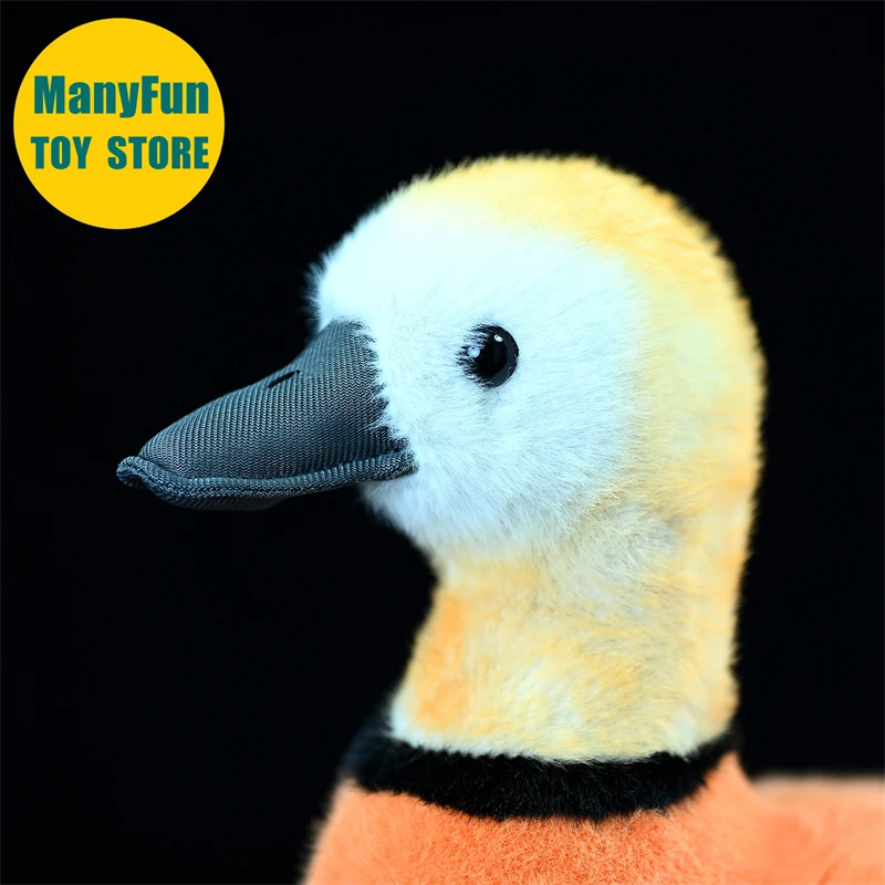 Ruddy Shelduck Plush Toy Realistic Brahminy Duck Plushie Lifelike Wild Duck Stuffed Animal Simulation Toy Gift