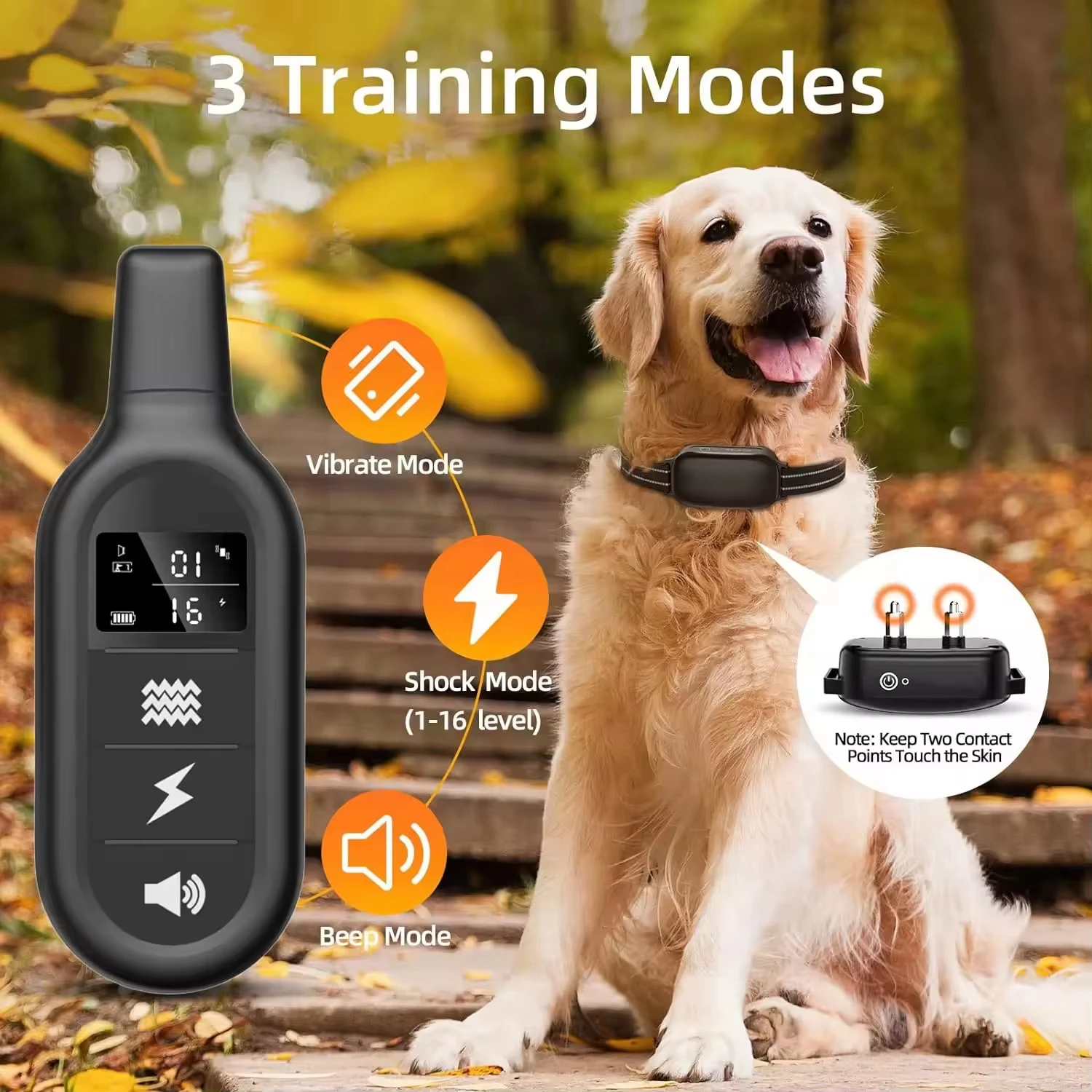 Thumbnail 2 - #7 Dog Collars Comparison Guide
