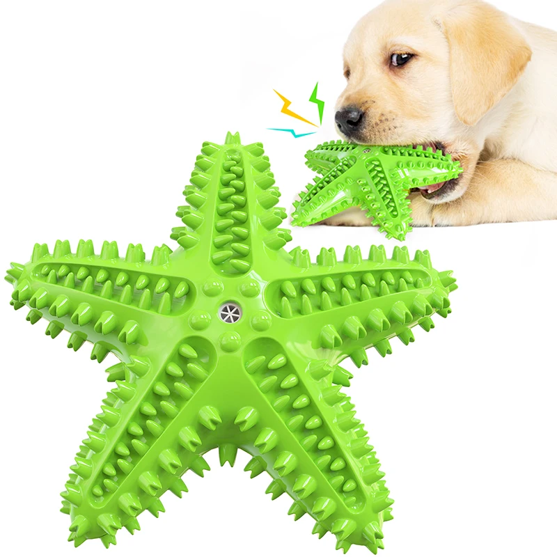 Starfish Dog Interactive Toy For Small Medium Large Dogs Cats Squeak Chew Molar Teeth Cleaning Outdoor Golden Retriever Supplies