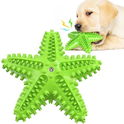 Starfish Dog Interactive Toy For Small Medium Large Dogs Cats Squeak Chew Molar Teeth Cleaning Outdoor Golden Retriever Supplies