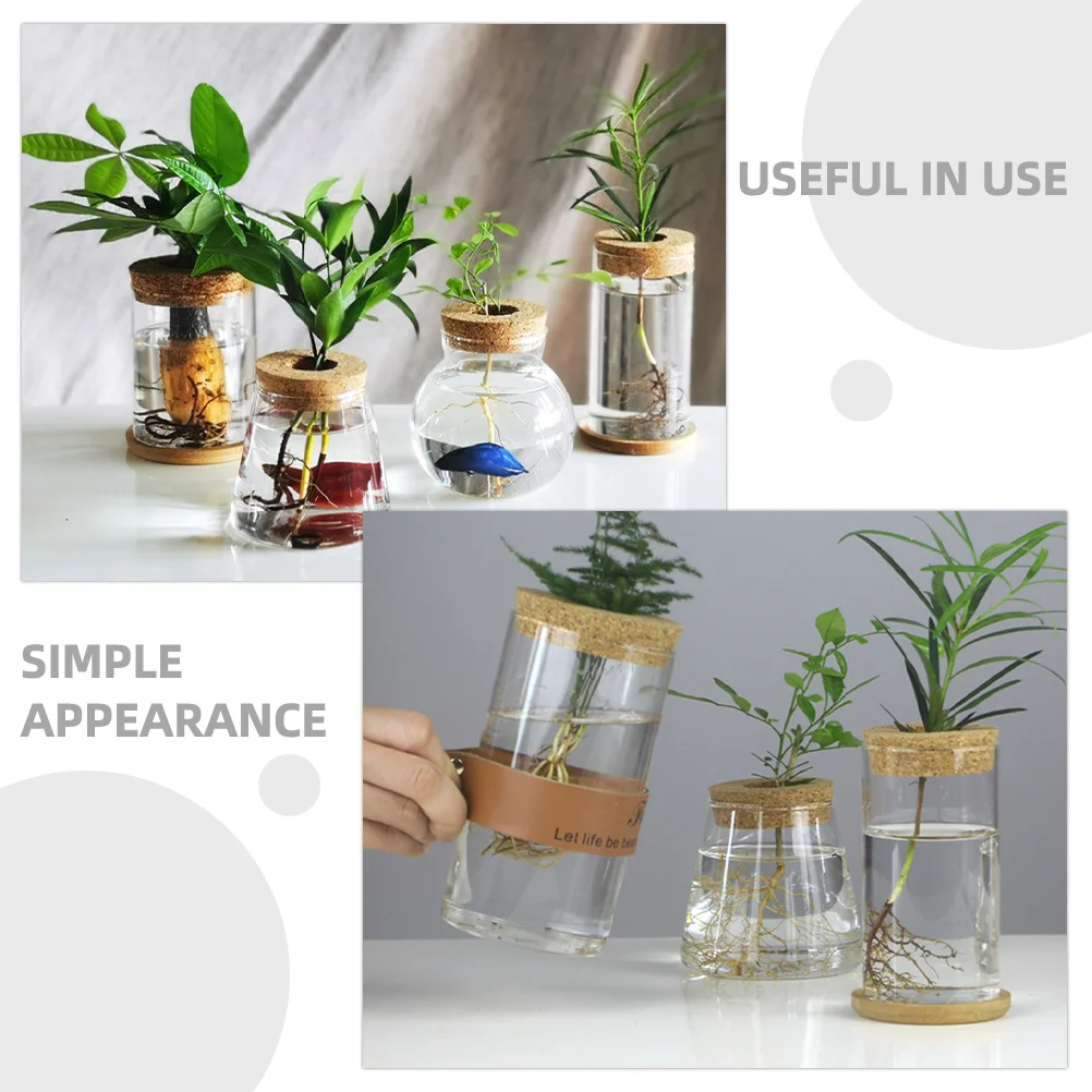 

2 set Clear Glass Succulent Vase 2 Sets Water Propagation Planter For Home Office Decor Wedding Centerpieces Floral Arrangements