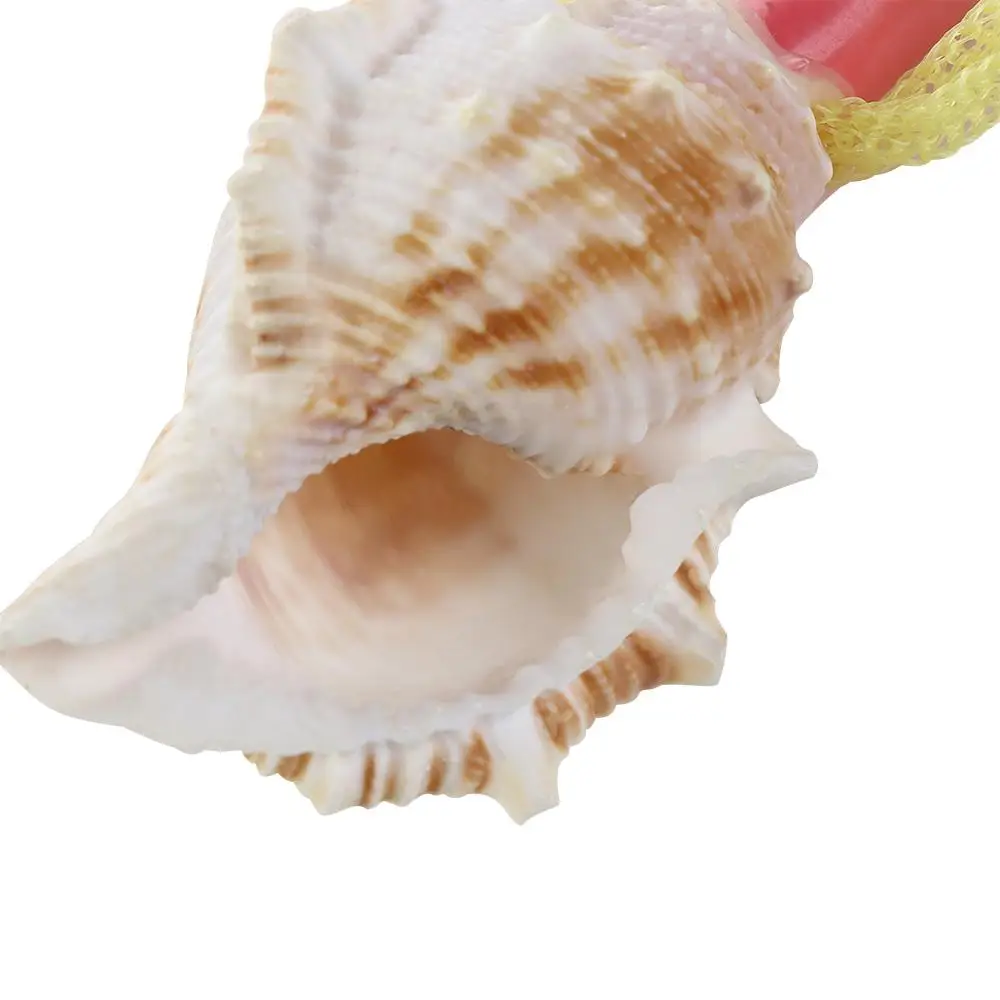 Conch Whistle Colar de pingente Criativo Natural Conch Shell, brinquedo soprando caracol, ferramenta de sobrevivência infantil, Artesanato Instrumento