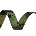 AOR2