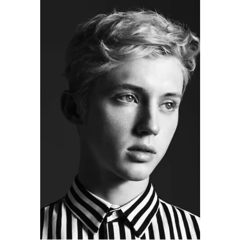 J037 Troye Sivan   Music Singer Star  Cover Silk Poster Wall Sticker Decoration Gift