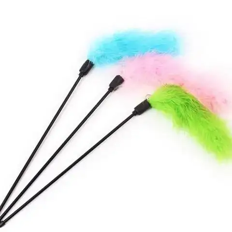 

Cat Kitten Supplies Toys Premium Pet Random Color Interactive Interest Accessories Turkey Feathers Tease Cat Sticks Home 1/5pcs