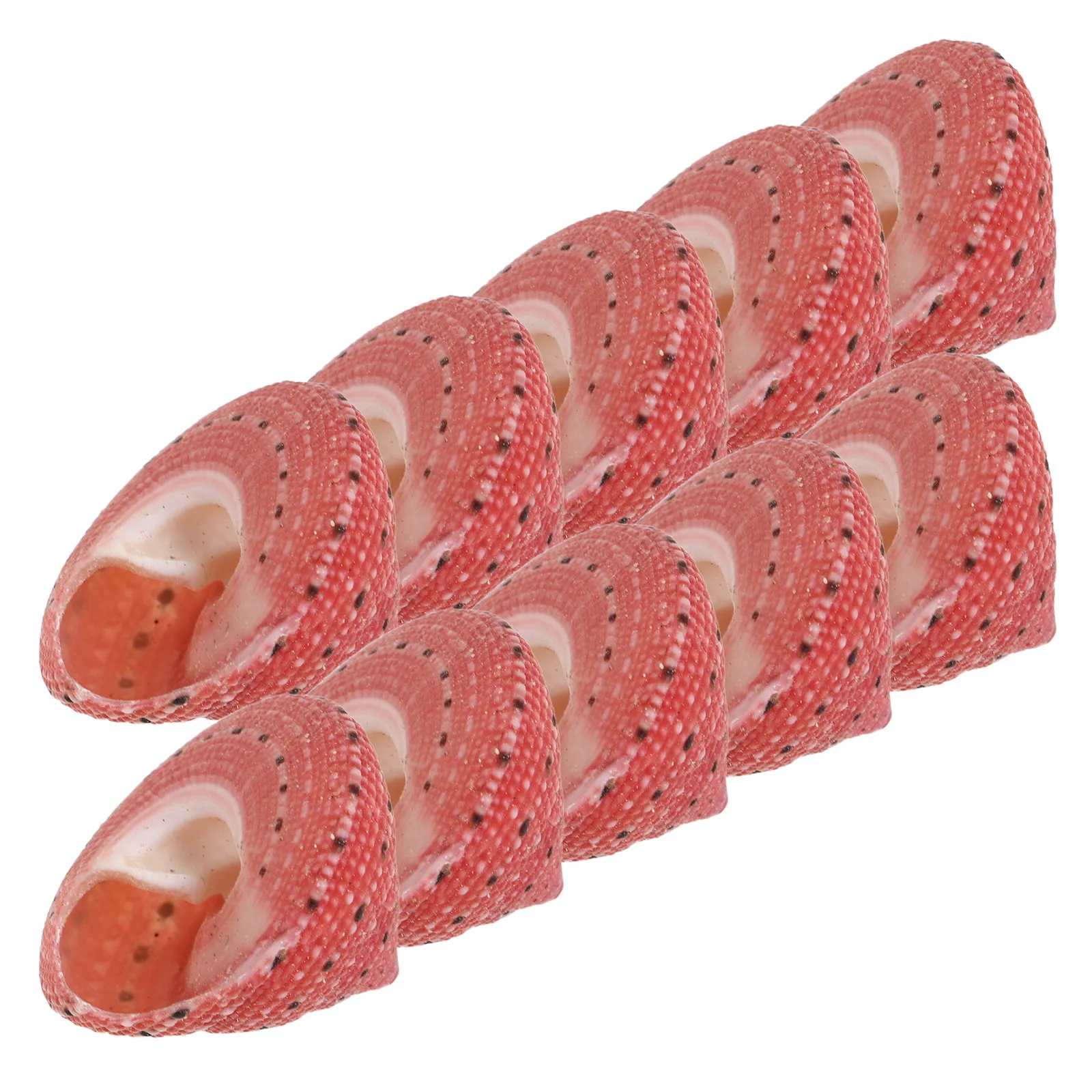 10Pcs Natural Sea Conch Shells Clanculus Puniceus Strawberry Decorative Seashells for Ocean Nautical Room Decor