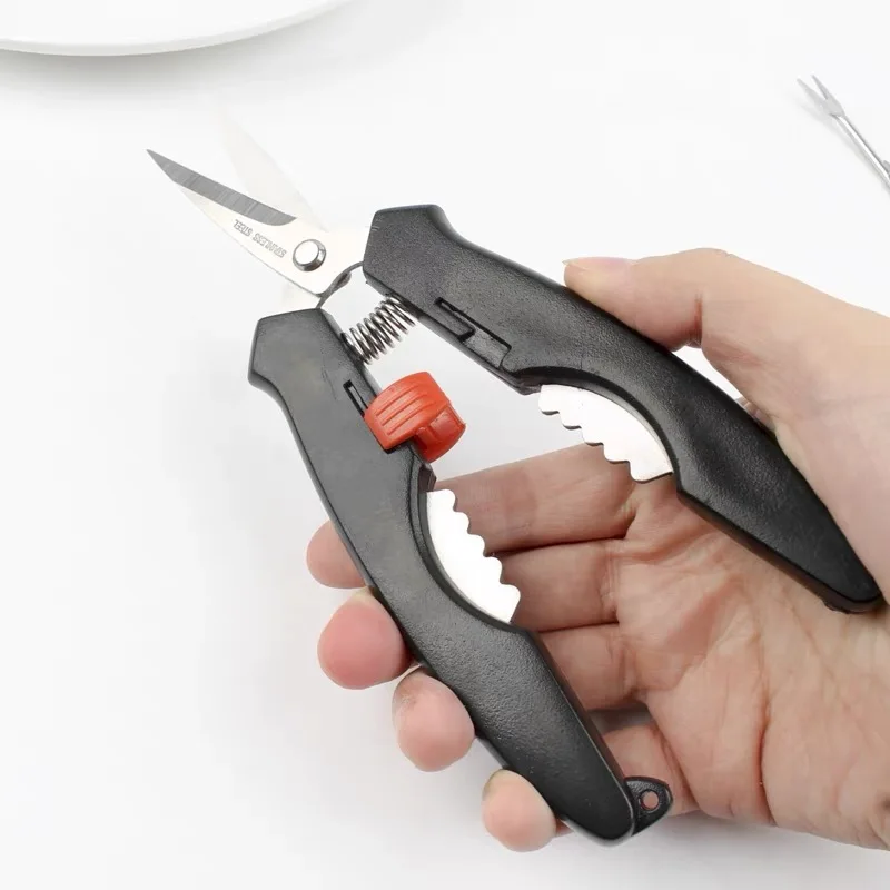Herramienta de descascarado de acero inoxidable 2 en 1, mango ABS multiusos, ahorro de energía, tijeras de cocina con cascanueces