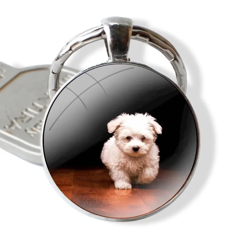 My Maltese Dog 25mm Glass Cabohcon Keychain Key Rings for Women Men Jewelry Gift