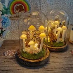 DIY Handmade Dried Flower Mushroom LampCreative Mushroom Night Light Housewarming Child  Christmas Gift For Bedroom Table Home