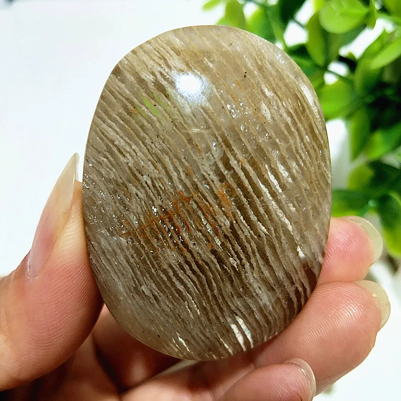 Natural Stones Garden Thousand Layer Phantom Quartz Palm Witchcraft Spiritual Meditatio Reiki Feng Shui Decoration