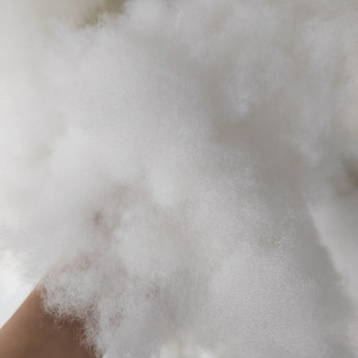 

500g/Lot Doll Stuffed Toys Polyester Stuffing High Elastic PP Cotton DIY Handmade Pillow Filling Material