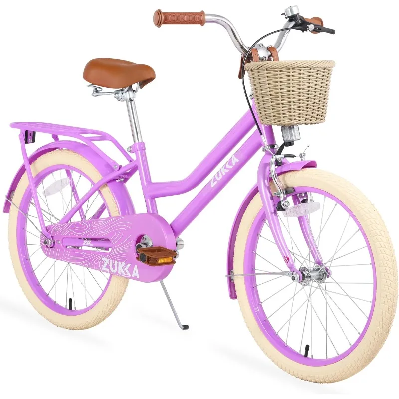 20 Inch Kid Bike Girls Bicycle with Basket, Single Speed Carbon Steel Frame Front V Brake and Rear Coaster Brake Student