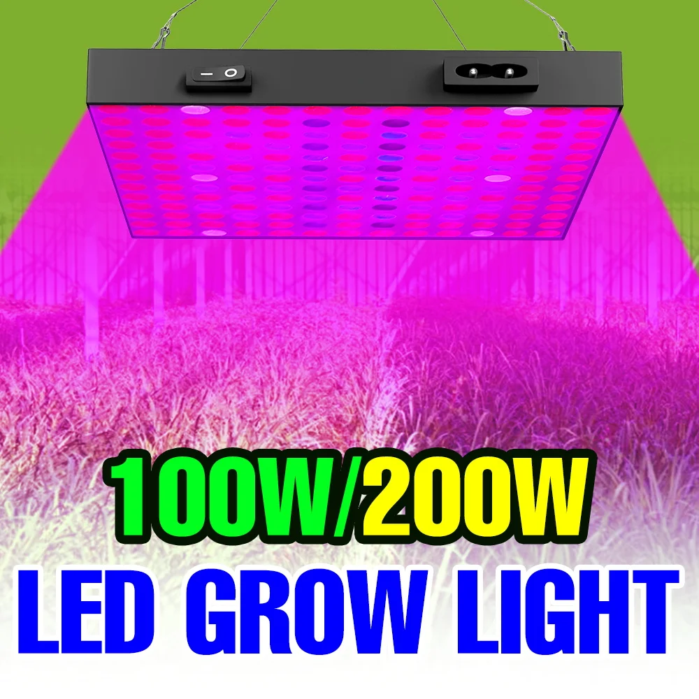 

200 Вт полный спектр света для выращивания растений, светодиодная квантовая доска, заполняющая лампа для комнатной теплицы, палатка, гідропонное освещение для выращивания растений