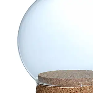 Transparent decorative glass dome, flower preservation vessel, cloche, wooden base jar, plant ornament, miniature dolls house, 12cm 8 MAIN SALES GLASS CUPULA - №3