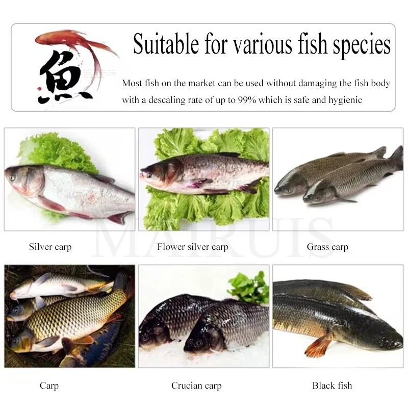 XT-ZXY01 Тип Электрический скребок для рыбьей чешуи Автоматическая машина для удаления рыбьей чешуи Скребок для рыбьей чешуи из нержавеющей стали Commerci