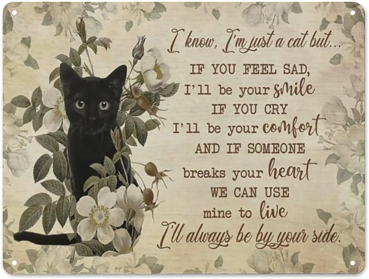 Rustic Retro Metal Tin Sign The Black Cat I Know Im Just A Cat But If You Feel Sad Ill Be Your Smile If You Cry Ill Be Your sign
