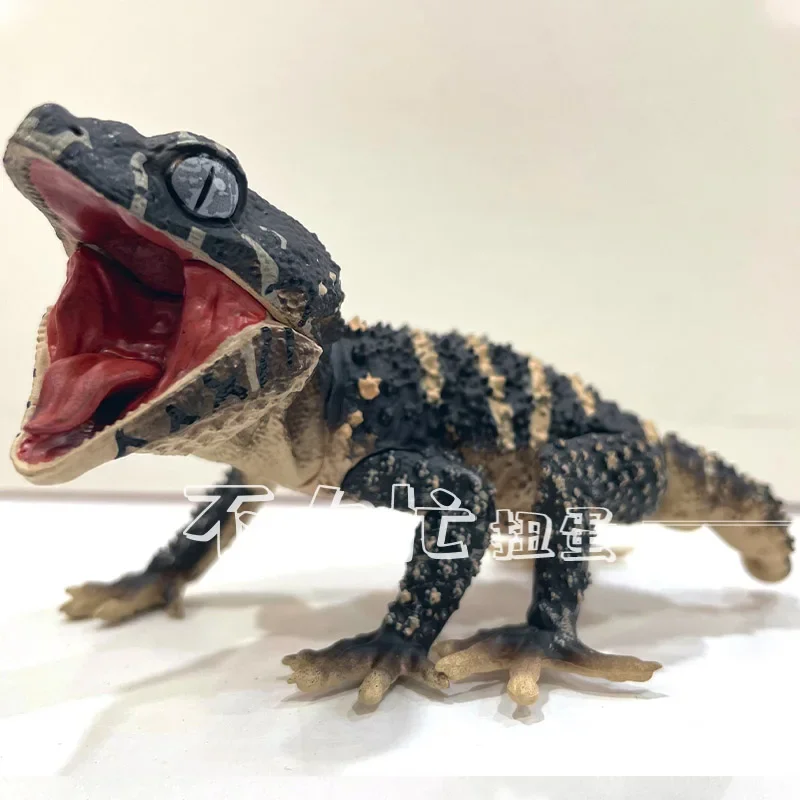 SO-TA Gashapon Figure Anime Cute 1/1 Artificial Climbing Pet Armadillo House Lizard Decoration Action Figurine Box Capsule Toys