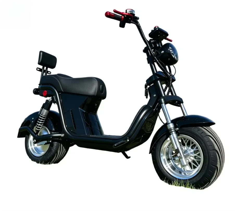 

High Speed Electric Motorcycle 110V Lead-acid Battery Adult Racing E-Bike With EEC Certification