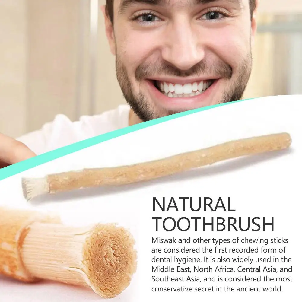 Miswak Siwak Natural Toothbrush Traditional Arak Teeth Whitener Soft Travel Manual Toothbrus Travel Middle Eastern Ancient