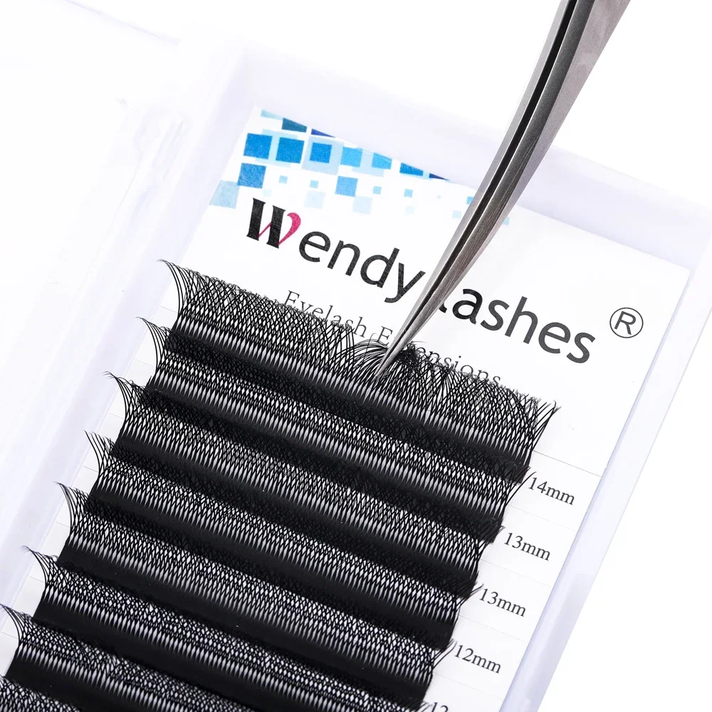 Wendy Two Tips 6D W Shape Lashes Extension Two Tip 3D Premade Volume Fan High Quality Fake Eyelashes Supplies Natural Look Lash