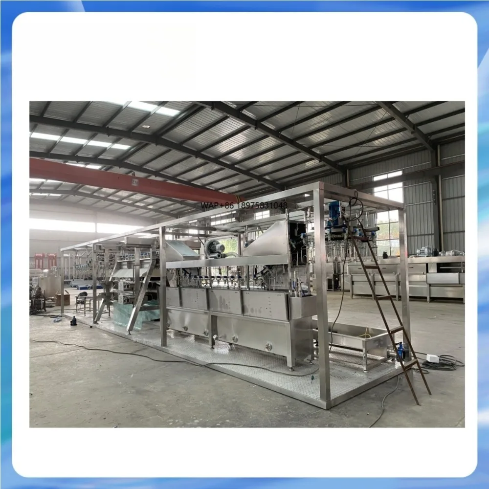 โรงฆ่าสัตว์ปีก กำลังการผลิต 1,000 ตัวต่อชั่วโมง อุปกรณ์เชือดไก่ สายการผลิตฆ่าสัตว์ปีก