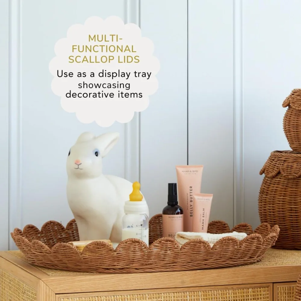 مجموعة السلة الصدفية الأصلية مكونة من 2 سلة صغيرة صغيرة مقاس 15 × 10 × 6 بوصة منسوجة يدويًا وحائزة على الجائزة جديدة #6