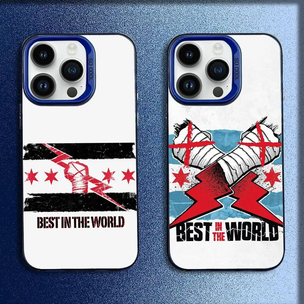 

BEST IN THE WORLD CM P-Punk Phone Case For iPhone 16,15,14,13,12,11,Mini,Pro,E,MAX Blue Candy Matte Shockproof Cover