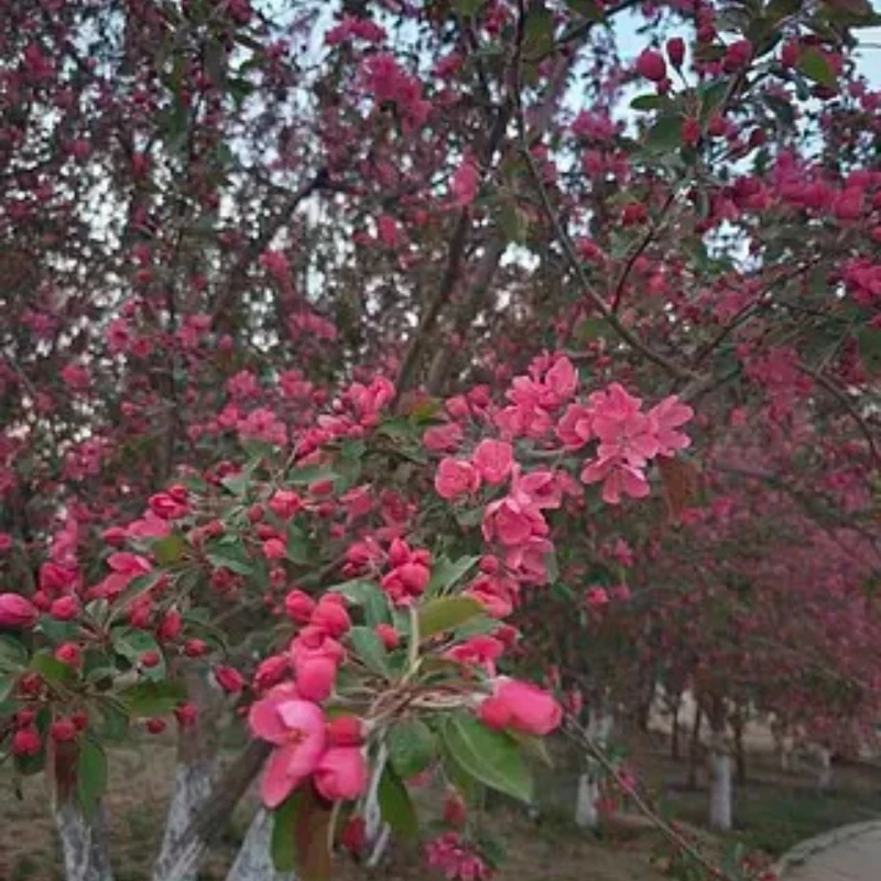 Geprc Taker H743 Bt… - image