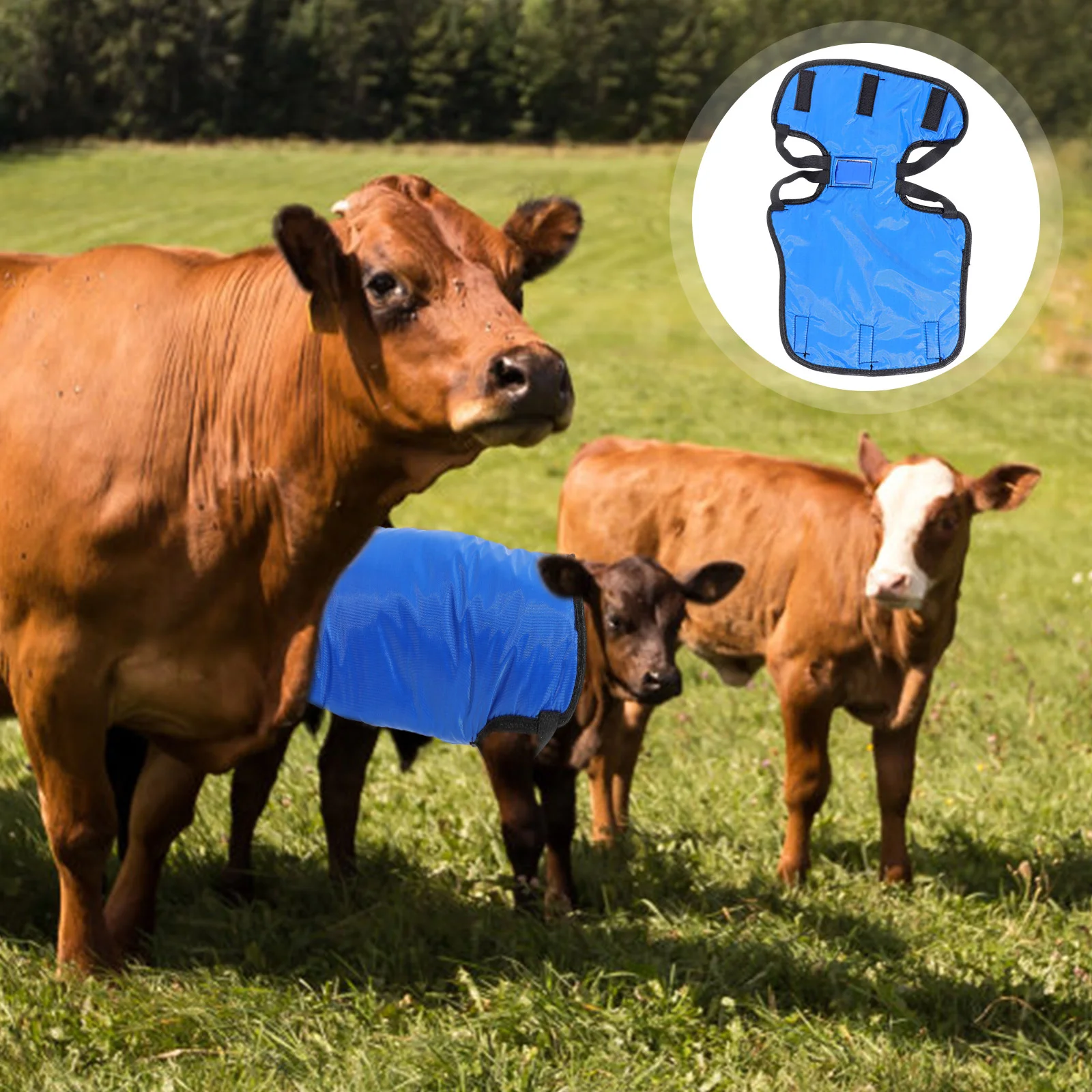 Calf Vest Cold Prevention Cow Coat Winter Insulation Warm Clothes Livestock Belly Protector Blue