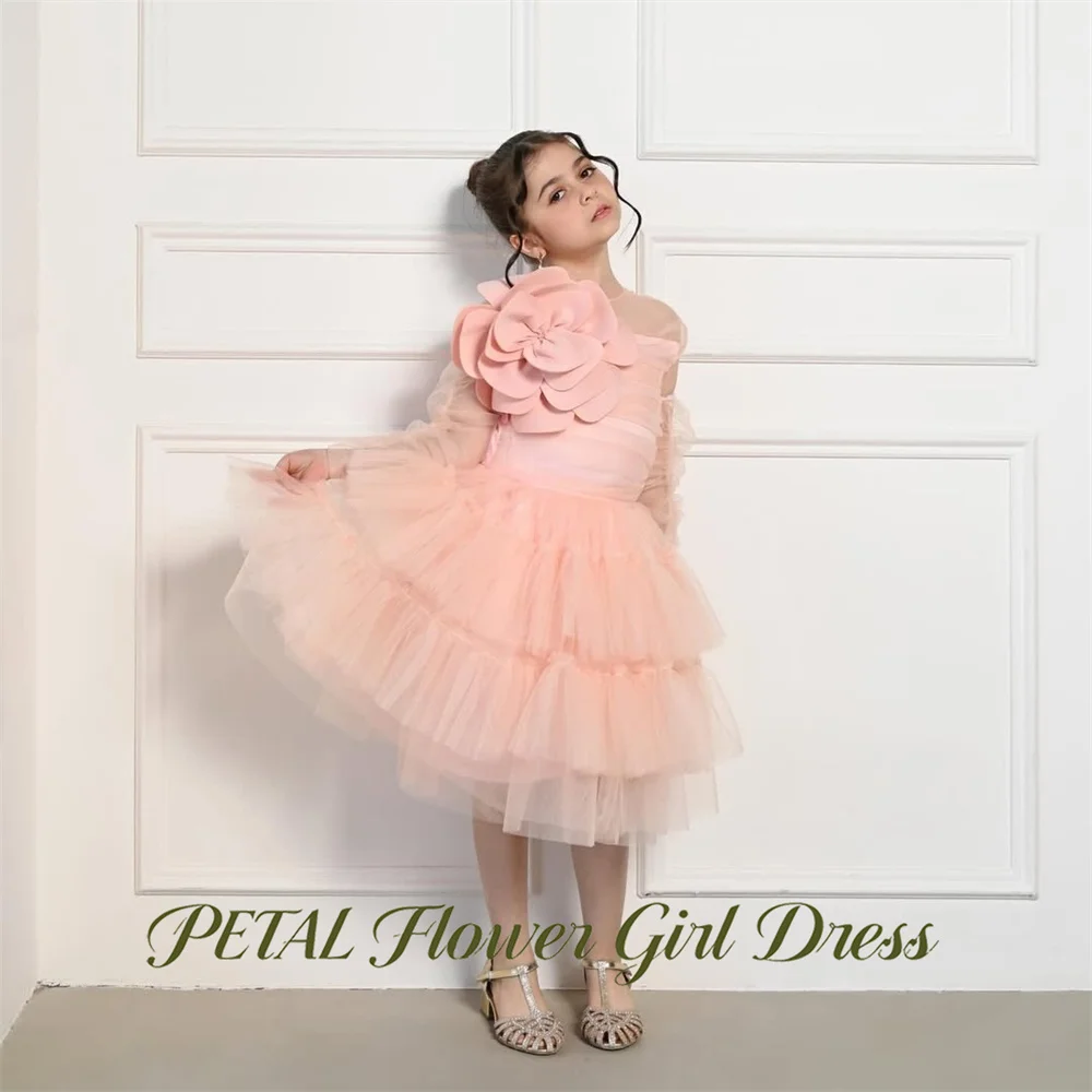 Petal Light Pink Kids Birthday Party Dress Semi Sheer Misty Thin Tulle Pageant Dress for Girl Large Flower First Communion Gown