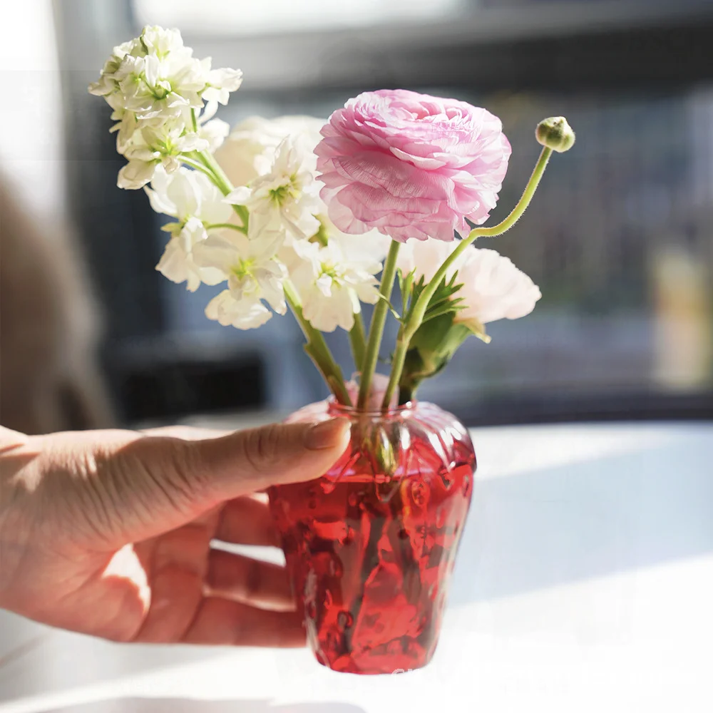 

Red Strawberry Glass Vase - Modern Style Aromatherapy Hydroponic Flower Pot Cute Home Decor High Borosilicate Glass