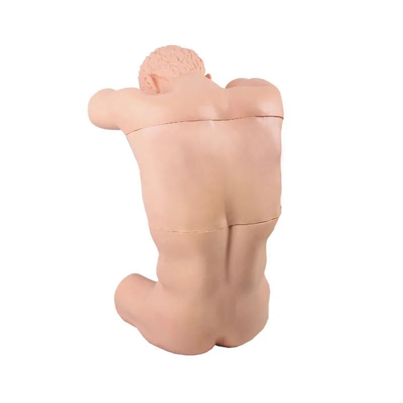 Thoracic Puncture Training Manikin Clinical Training Model Thoracentesis Teaching Patient Simulator