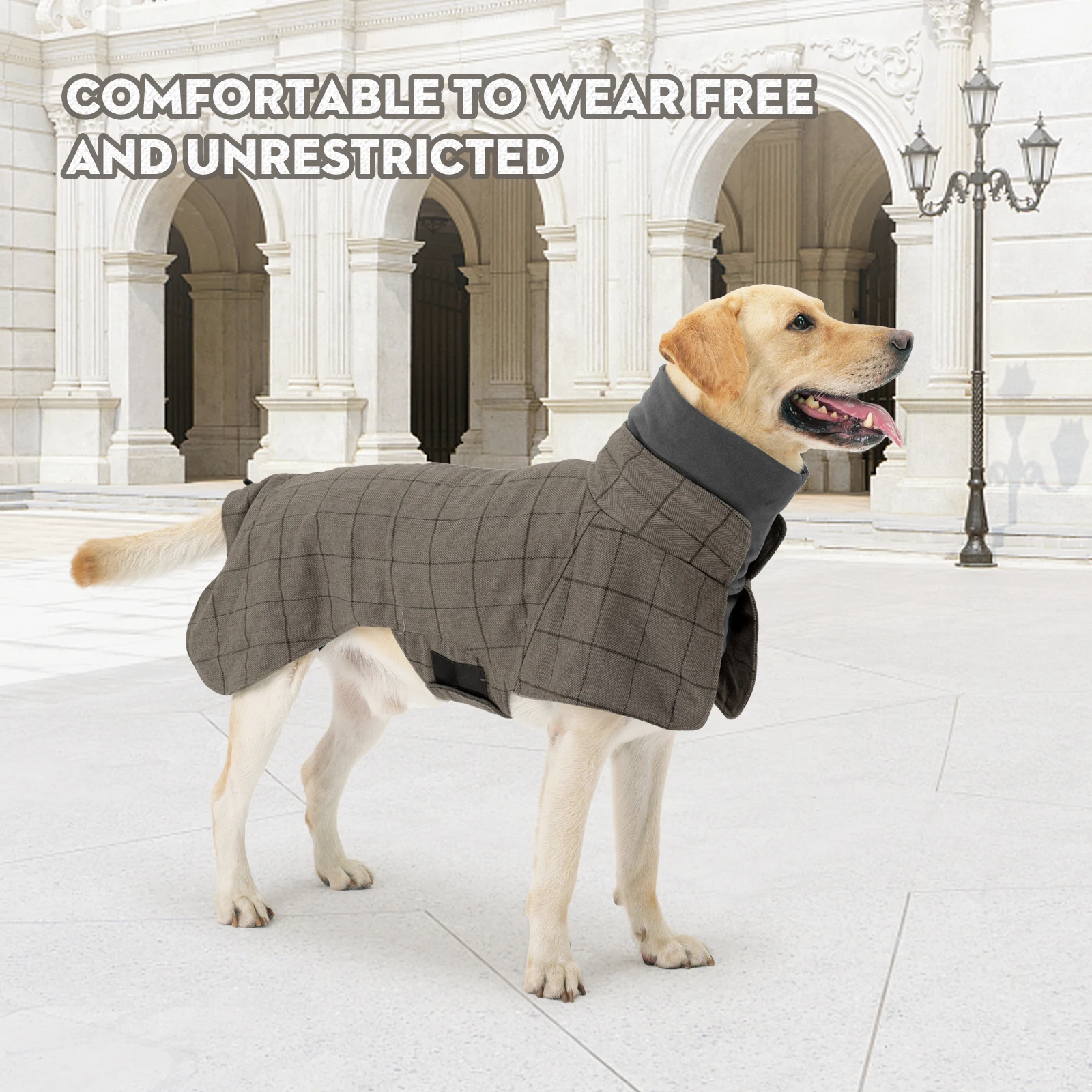 Windproof Plaid Dog Jacket for Male Dogs British Style Autumn Winter Warm Dog Coat Fleece-Lined Adjustable Holiday Formal Dress